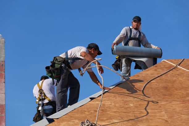 Best Gutter Installation and Roofing  in Campbelltown, PA